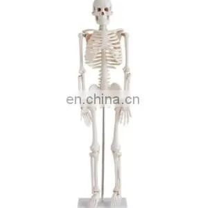 Multi-functional Advanced Medical Science Mannequin Trauma Nursing Training Manikin Nursing Training Mannequin thumbnail-5