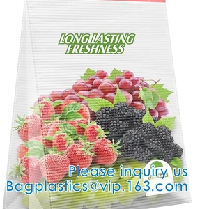 Yantai Bagease Plastic Production Co.,ltd. company overview - view 2 thumbnail