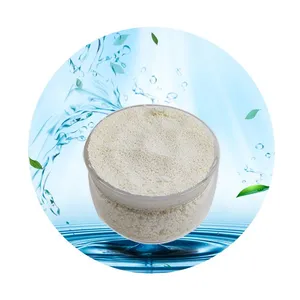 Weak Acid Cationic Ion Exchange Resin D113 Mainly Used in Industrial Water Treatment Etc thumbnail-1
