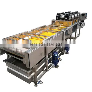 Fruit Waxing Sorting Machine /Apple Waxing Machine / Citrus Waxing Machine Sorting Machine thumbnail-1