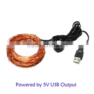 Waterproof Ip68 Indoor Outdoor Christmas Copper Wire Mini Led String Lights thumbnail-1