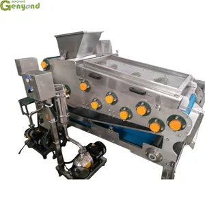 Genyond High Efficiency Belt Fruit Juice Extractor Fruit Belt Extraction Juicer thumbnail-1