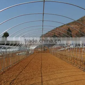 Net Greenhouse thumbnail-1