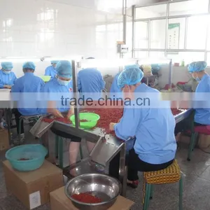 DRIED GOJI BERRY EXPORT thumbnail-2