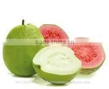Pink ,White Guava Export in India thumbnail-4