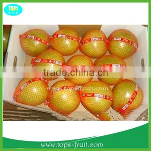 Honey Pomelo thumbnail-1