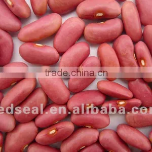 Organic Pink Kidney Beans 2016 thumbnail-1