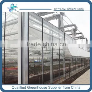 High Quality Glass Greenhouse for Vegetable Quality Choice thumbnail-3