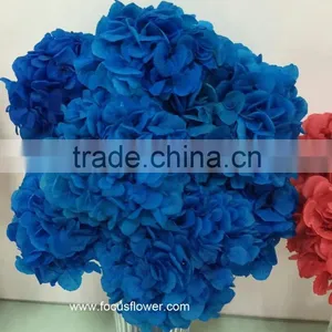 High Quality Fresh Preserved Flower Blue White Hydrangea Bouquet For Christmas thumbnail-1