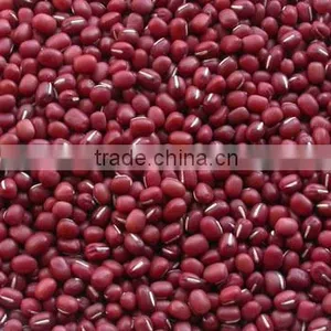 2016 New Crop Chinese Small Red Kidney Beans(Adzuki Beans) thumbnail-3