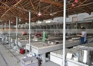 Liling Sinfly Ceramics Co., Ltd. company overview - view 3 thumbnail