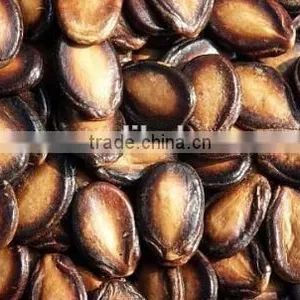 Roasted Watermelon Hot Sale in Market From Our Factory thumbnail-5