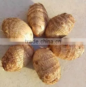 Fresh Taro thumbnail-1