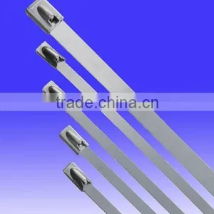 ISO Certificate,Hot Sale,Made In China,Ball Lock,Stainless Steel Tie thumbnail-1