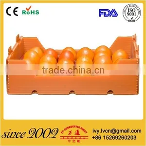 Factory Price Durable Foldable Corrugated Plastic Boxes For Fruits thumbnail-1
