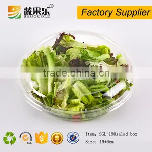 Disposable Plastic Fresh Salad Packing Container With Clear Hinged Lid thumbnail-2