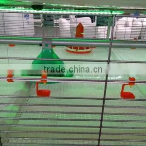 Automatic Poultry Nipple Drinker for Broiler and Breeder thumbnail-2