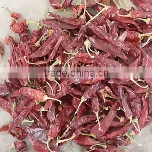 AMERICAN RED CHILI With Stem thumbnail-1