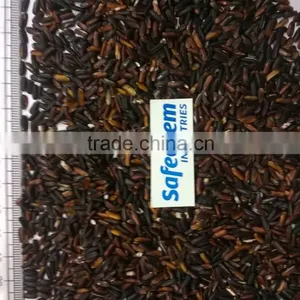 Premium Black Rice thumbnail-1
