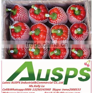 Fresh Red Capsicum thumbnail-1