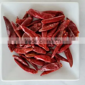 Dry Red Chili thumbnail-1