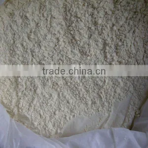 Garlic Extract Powder thumbnail-1