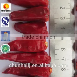 Dried Bullet Chilli Hot Spicy High Quality New Crop thumbnail-1