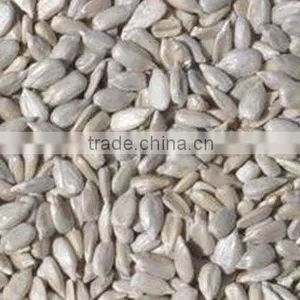 Sunflower Seed Kernels thumbnail-1