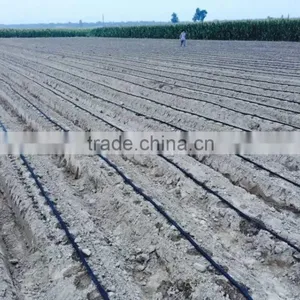 Flat Emitter in Line Drip Irrigation thumbnail-1