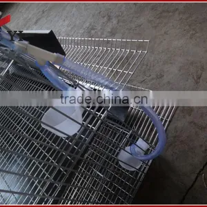 Hot Sale Quail Laying Cage thumbnail-4
