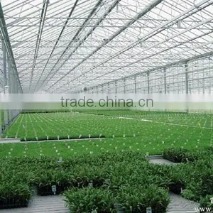 Light Frame Steel Structure Building for Greenhouse, Poultry Farm With Really Low Cost thumbnail-4