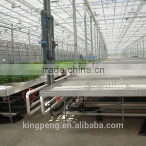 Tide Irrigation System for Nursery and Seedling Greenhouse thumbnail-5