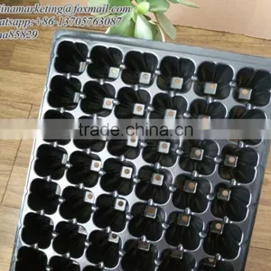 Hot Selling High Quality 72 Cell Plug PS Plastic Material Seed Plant Nursery Growing Tray for Gardening thumbnail-6