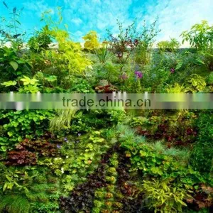 Fake Wall Indoor/ourdoor Manufacturer (80X80cm) Artificial Living Wall thumbnail-1