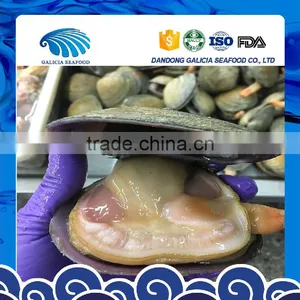 Raw Frozen Half-shell Huge Clam thumbnail-1