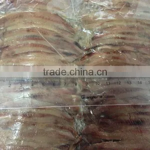 Salted Anchovy Fillets thumbnail-6