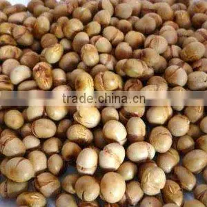 Organic Roasted Soybean thumbnail-1