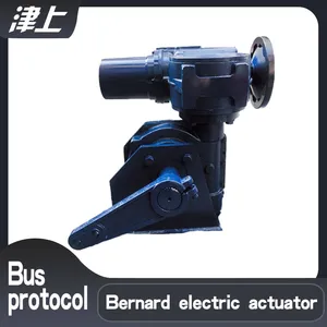 Tianjin Bernard Partial Rotary Electric Actuator B+RS160/K40Z Bluetooth Control Bus Protocol thumbnail-1