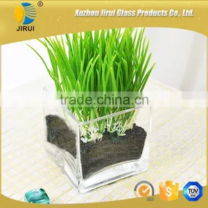 Transparent Glass Flower Pot & Glass Plant Pot thumbnail-1