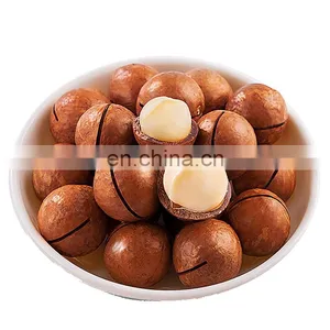 Not Roasted Macadamia Nuts Seeds Factory Price Macadamia Nuts Wholesale Roasted Macadamia Nuts thumbnail-2