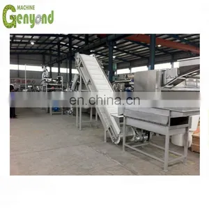 Alphonso Mango Puree Production Making Line thumbnail-2