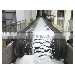 Iodized Sea Salt Production Line Refinery Plant Crude Rock Salt Refining Machine Lake Salt Crushing Washing Drying Machine thumbnail-1
