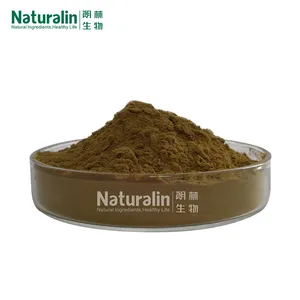 Reishi Mushroom Extract thumbnail-4