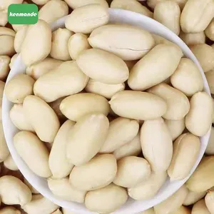 Large 25/29 Blanched Peanut Kernels for Commercial Food Manufacturing thumbnail-4