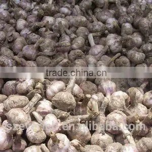 2016 NEW CROP CHINESE FRESH GARLIC ----PLACE OF ORIGIN,WE ARE FARMER thumbnail-2
