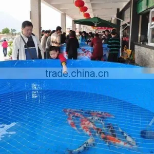 Fish Show Tank thumbnail-1