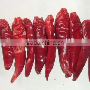 Dry Chilli thumbnail-1