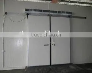 PU Panel Cold Room With Hinged Door/fruits Cold Storage thumbnail-3