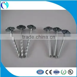 China Building Material Dubai and Arabic Screw Roofing Nail With Washer thumbnail-1