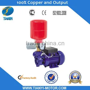 DB-125AUTO Water Pump Automatic Pressure Switch thumbnail-1